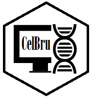 CelBru Technology
